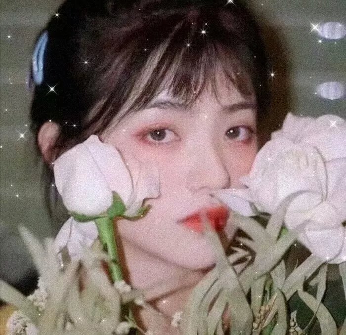 美德加·艾维斯 海报