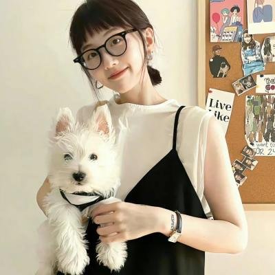摩托疯子 海报